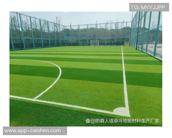 足球与植物的奇妙结合探索绿色场地上的运动与生命之美